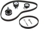 ina-530053810 Комплект ГРМ VW Caddy III 1.4 06-10, 59kw, BUD