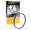 contitech-ct1218 Ремінь привода насосу масляного